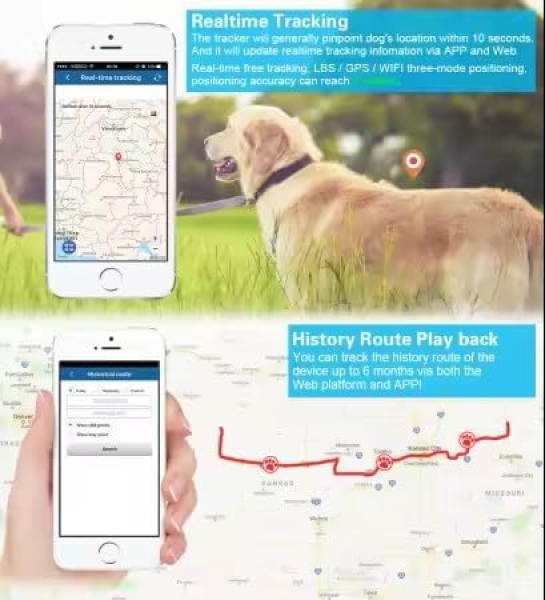 TKSTAR TK911 4G LTE GPS Halsband Hund Katze Tier Tracker Peilsender + wasserdicht 700mAh Akku/Nur 41g / Live-Tracking ohne Vertrag